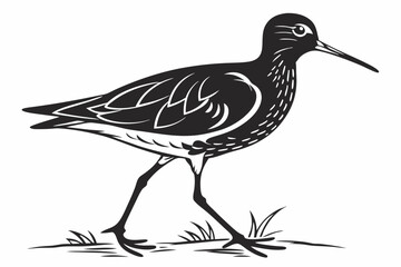 redshank sihouette black vector