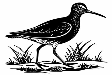 redshank sihouette black vector