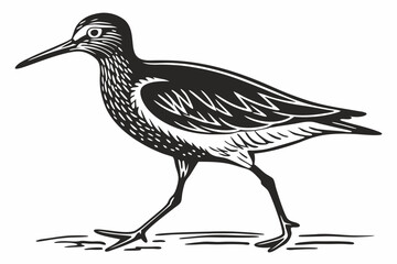 redshank sihouette black vector