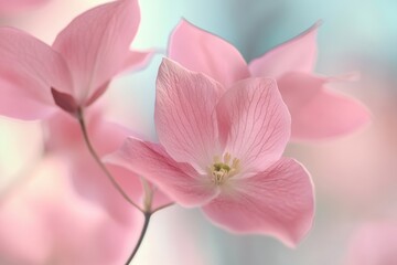 Naklejka premium Delicate pink blossoms unfolding softly in a dreamy blurred environment for serene floral photography enthusiasts