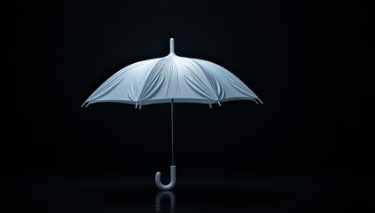 black umbrella isolated on white