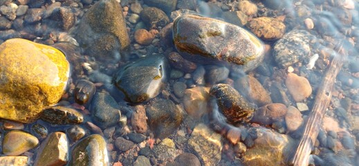 Calm riverbed with smooth pebbles and clear water during a sunny afternoon in nature