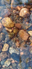 Calm riverbed with smooth pebbles and clear water during a sunny afternoon in nature