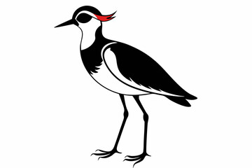 lapwing sihouette black vector