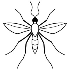 Animal Mosquito line art vector 