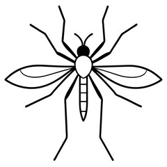 Animal Mosquito line art vector 