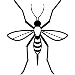 Animal Mosquito line art vector 