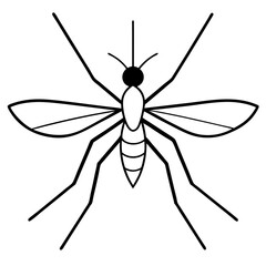 Fototapeta premium Animal Mosquito line art vector 
