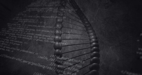 Data processing over dna structure spinning and network of connections against grey background