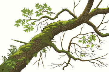 12 Moss-covered tree branch, gnarled wood texture, isolated on white background, twisted form, organic sculpture, forest detail, green moss, natural art piece, botanical specimen, earthy tones, studio