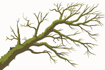 12 Moss-covered tree branch, gnarled wood texture, isolated on white background, twisted form, organic sculpture, forest detail, green moss, natural art piece, botanical specimen, earthy tones, studio