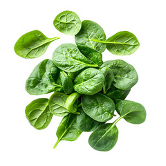 Fototapeta premium Fresh baby spinach on white backround, from above, flat lay.