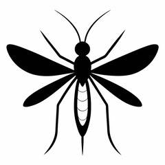 Animal Mosquito Color silhouette vector illustrator  