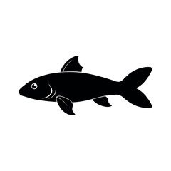 Plecostomus Fish Black Vector Silhouette Clipart