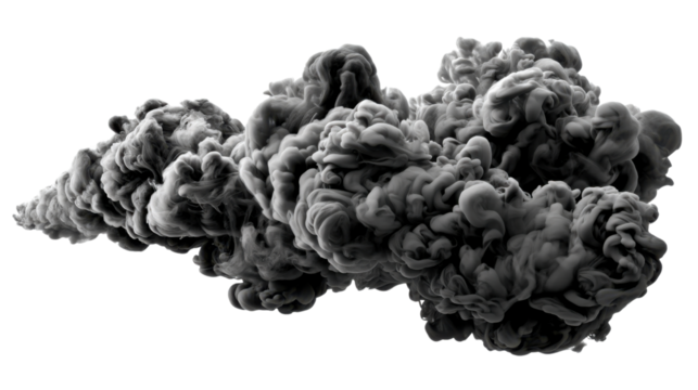 pine cones isolated on white background