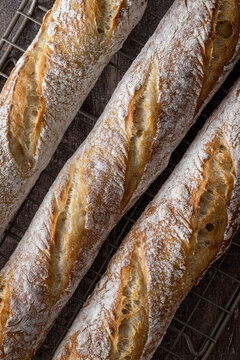 Crusty baguettes close up photo