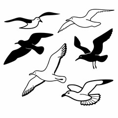 Fototapeta premium set of birds silhouettes