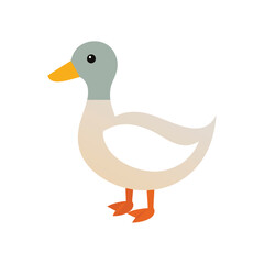 Obraz premium duck vector