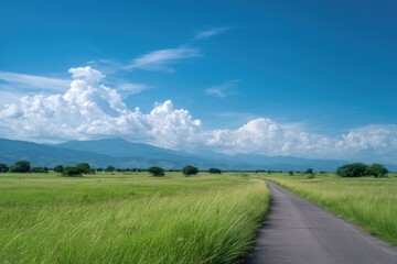 Fototapeta premium serene countryside road in vietnam lined with rice paddies under expansive blue sky