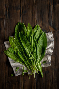 Freshly picked chicory leaves on a towel, placed on a wooden table.