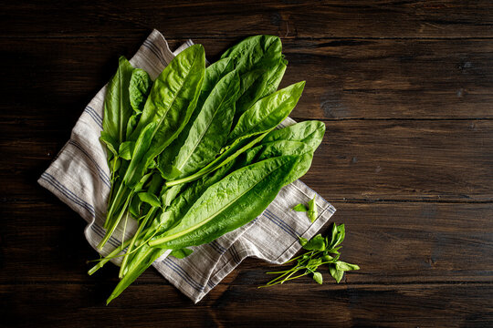 Freshly picked chicory leaves on a towel, placed on a wooden table.