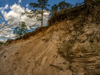 Exposed sandy slope with visible stratification—Quaternary postglacial sediment typical of...