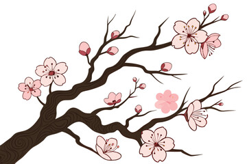24 Cherry blossom branch, blooming pink flowers, gnarled wood texture, intricate tree bark details, delicate petals, spring blossoms, botanical illustration, white background, nature art, Japanese-ins