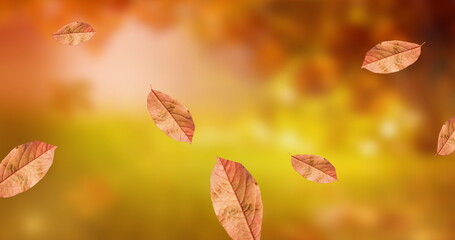 Image of leaves icons over blurred background