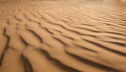 Fototapeta premium fine sand abstract texture background