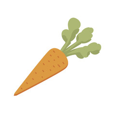 Raw carrot in flat design. Food product in vegetarian menu, orange root. Vector illustration isolated.