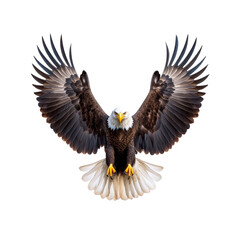Obraz premium Majestic Bald Eagle in Flight, Wings Spread Wide Against Transparent Background
