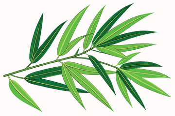 26 Vibrant green bamboo leaves, X-shaped composition, Isolated on white background, Crisp details, High contrast, Botanical illustration style, Fresh and lively, Close-up view, Zen-inspired, Minimalis