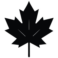 black and white star