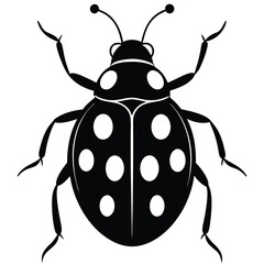 vector illustration of a ladybug