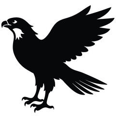 eagle vector illustration