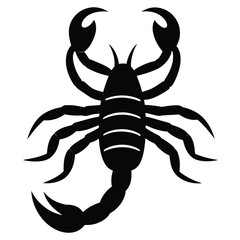 scorpion vector illustration