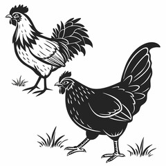Professional Rooster Hen Silhouettes - Black and White Farm Animal Illustration.