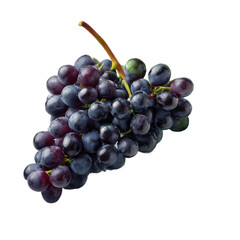 Fototapeta premium red grapes isolated on white