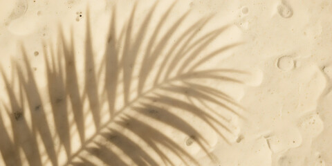 close up of a palm leaf