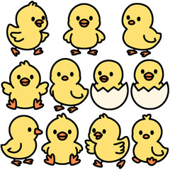 닭의 새끼 병아리 캐릭터 일러스트