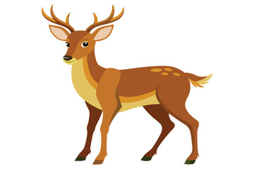 Fototapeta premium Deer Vector Illustration White Background