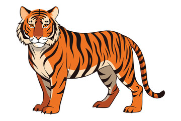 Bengal Tiger Detailed Full Body White Background