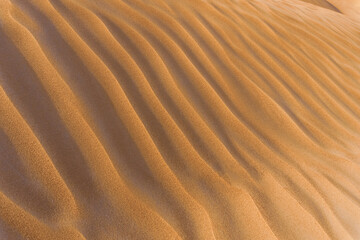 Landscape desert hill with rippled dunes. Red sand summer texture. Selective blur focus.
