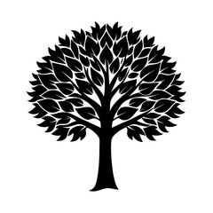 Obraz premium Teak Tree Vector Illustration on White Background Minimalist Nature Clipart Design