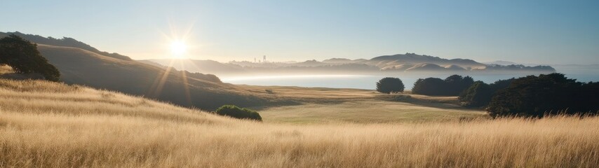 Obraz premium Golden field overlooking a misty valley at sunrise.