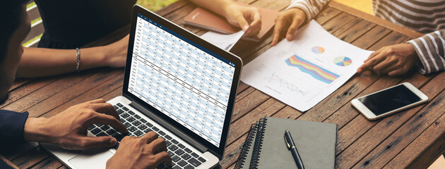 Accounting software on computer screen showing financial statement spreadsheets and account balance...
