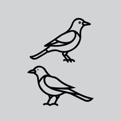 Doyel a bird art