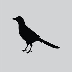 Doyel Birds Black and White