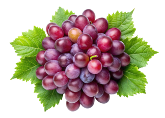 Fresh red grapes with green leaves isolated on a Trensprent  Background png