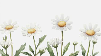 Fototapeta premium Elegant wedding invitation card background . Minimal hand painted watercolor Chamomile flowers texture template background. Design for wedding, vip cover, poster, rsvp moderncard.Valentine's Day